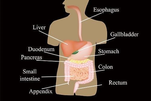 Social Security Disability for Digestive Disorders