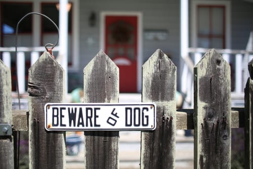 Tips to Avoid Dog Attacks & Bites