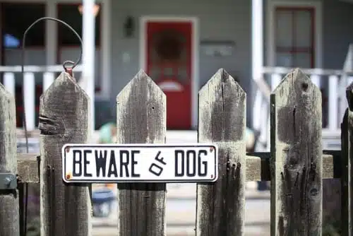 Tips to Avoid Dog Attacks & Bites