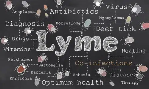 Lyme's Disease and Social Security Disability